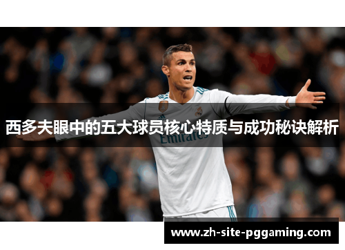 西多夫眼中的五大球员核心特质与成功秘诀解析 西多夫眼中的五大球员核心特质与成功秘诀解析
