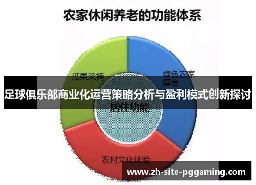 足球俱乐部商业化运营策略分析与盈利模式创新探讨