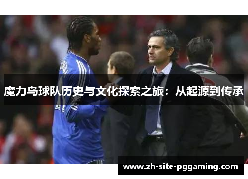 魔力鸟球队历史与文化探索之旅：从起源到传承