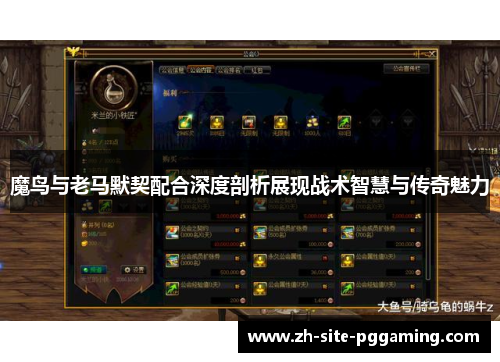魔鸟与老马默契配合深度剖析展现战术智慧与传奇魅力