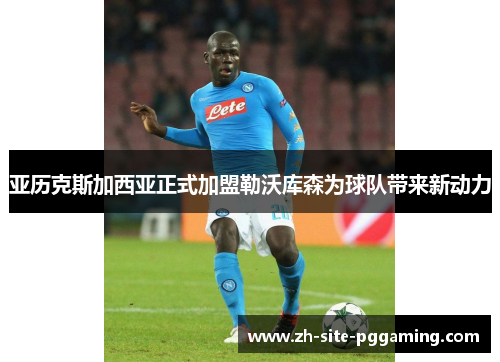 亚历克斯加西亚正式加盟勒沃库森为球队带来新动力